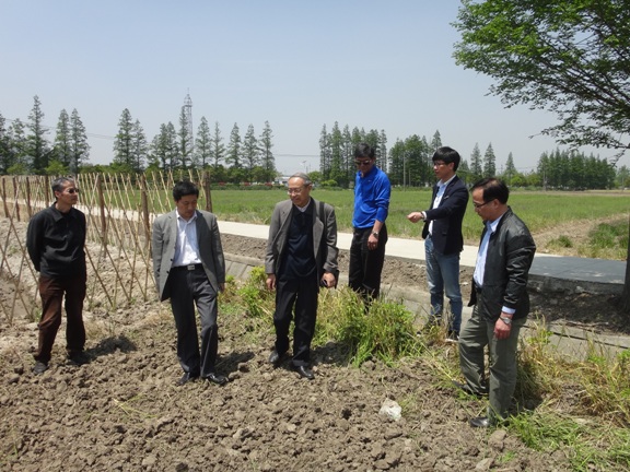 校村合作建基地 服务群众促发展――记中药学院党总支赴松江区泖港镇腰泾村实地考察